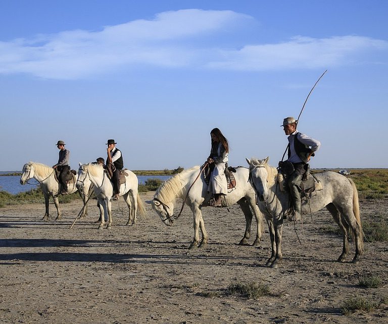 Camargue